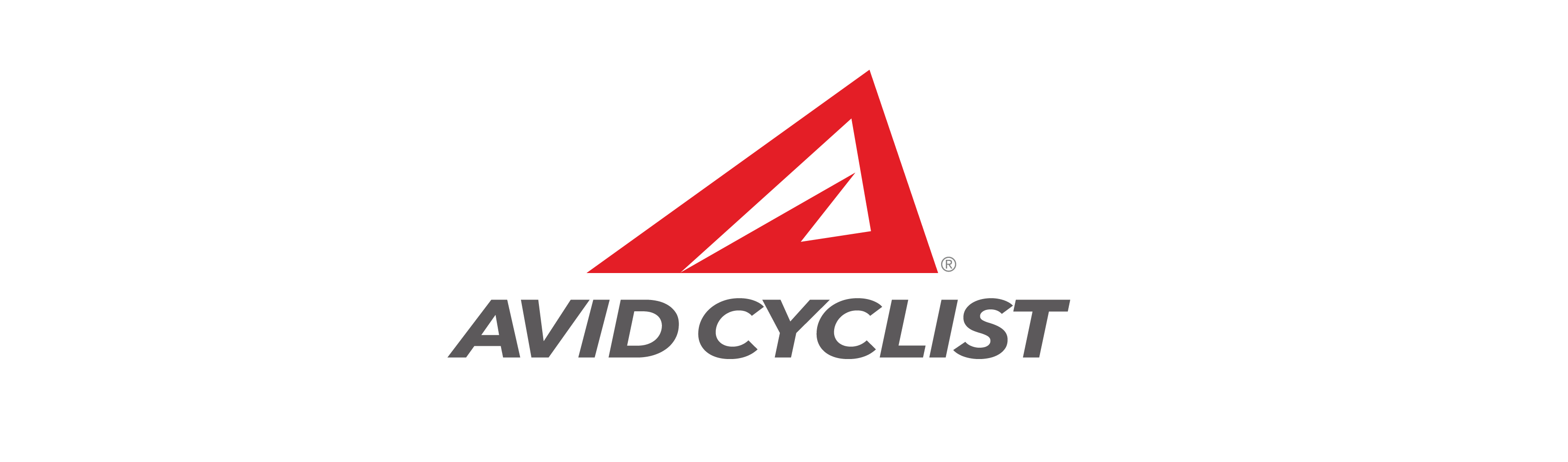 Avid Cyclist